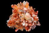 Orange Creedite Crystal Cluster - Durango, Mexico #79374-1